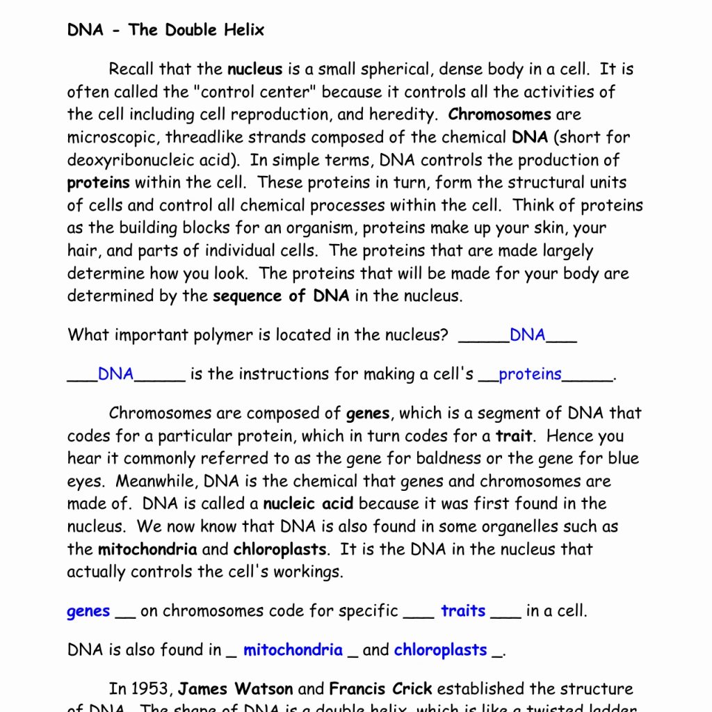 Nucleic Acids Dna The Double Helix Worksheet Answers â Worksheets